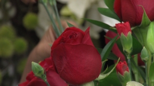 roses