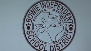 bowieisd