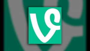 vine